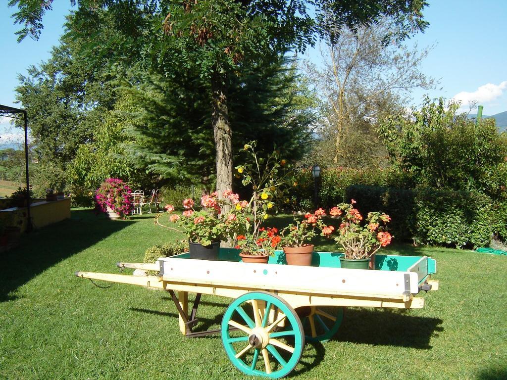 B&B Casale Ginette Incisa in Val d'Arno Exterior foto
